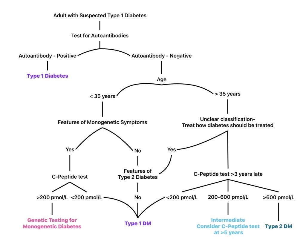 Types of diabetes flowchart